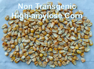 Niedrige GI nicht GVO Stärke der Maisstärke-Nahrungsmittelgrad-beständige hohe Faser-RS2